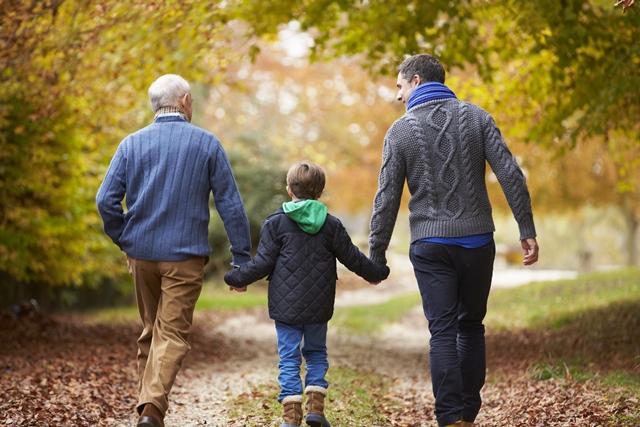 3 generations